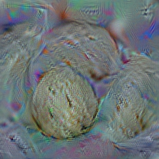 n07860988